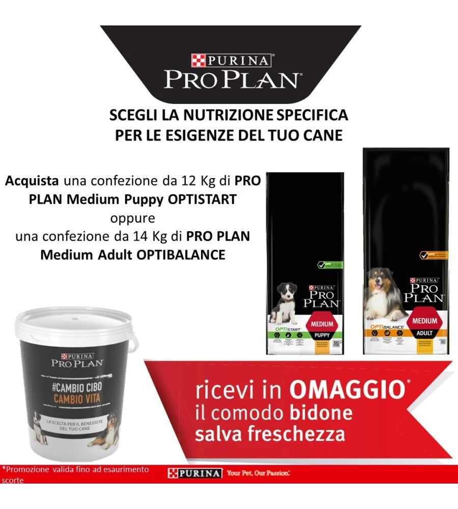 Alimento secco per gatto - gastroenteric.